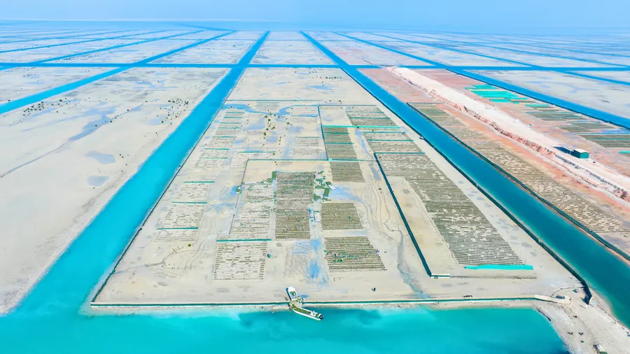 Aerial view of the Al-Ruwais coastal project area
