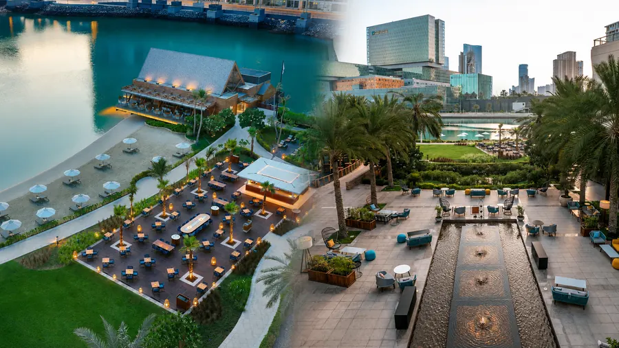 Hospitality landscape with water features and palm planting